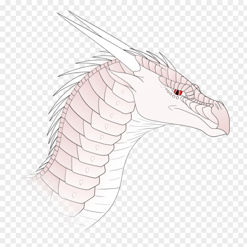 Albino Design Element Drawing Illustration /m/02csf Jaw Product PNG