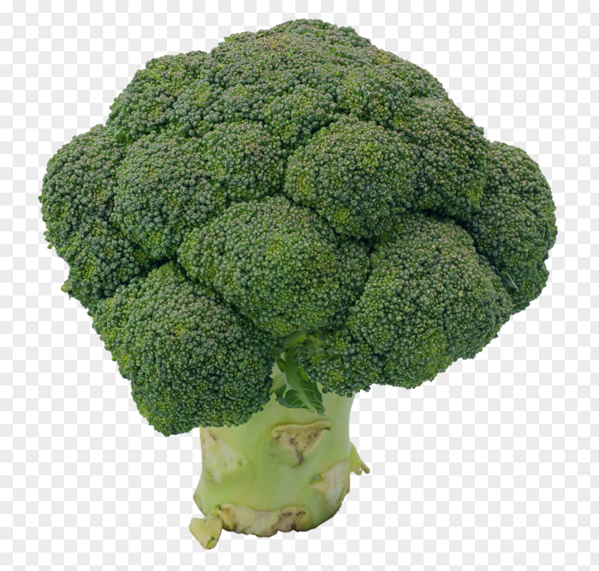 Broccoli Cauliflower Collard Greens Rapini PNG