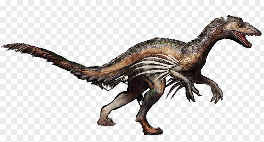 Dinosaur Velociraptor Troodon ARK: Survival Evolved Tyrannosaurus Pegomastax PNG