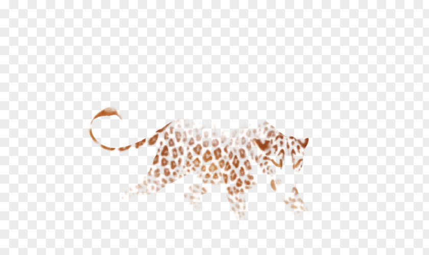 Leopard Cheetah Felidae Giraffe Lion PNG