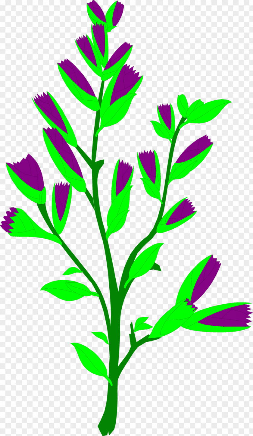 Artichokes Plant Herb Common Sage Food Clip Art PNG
