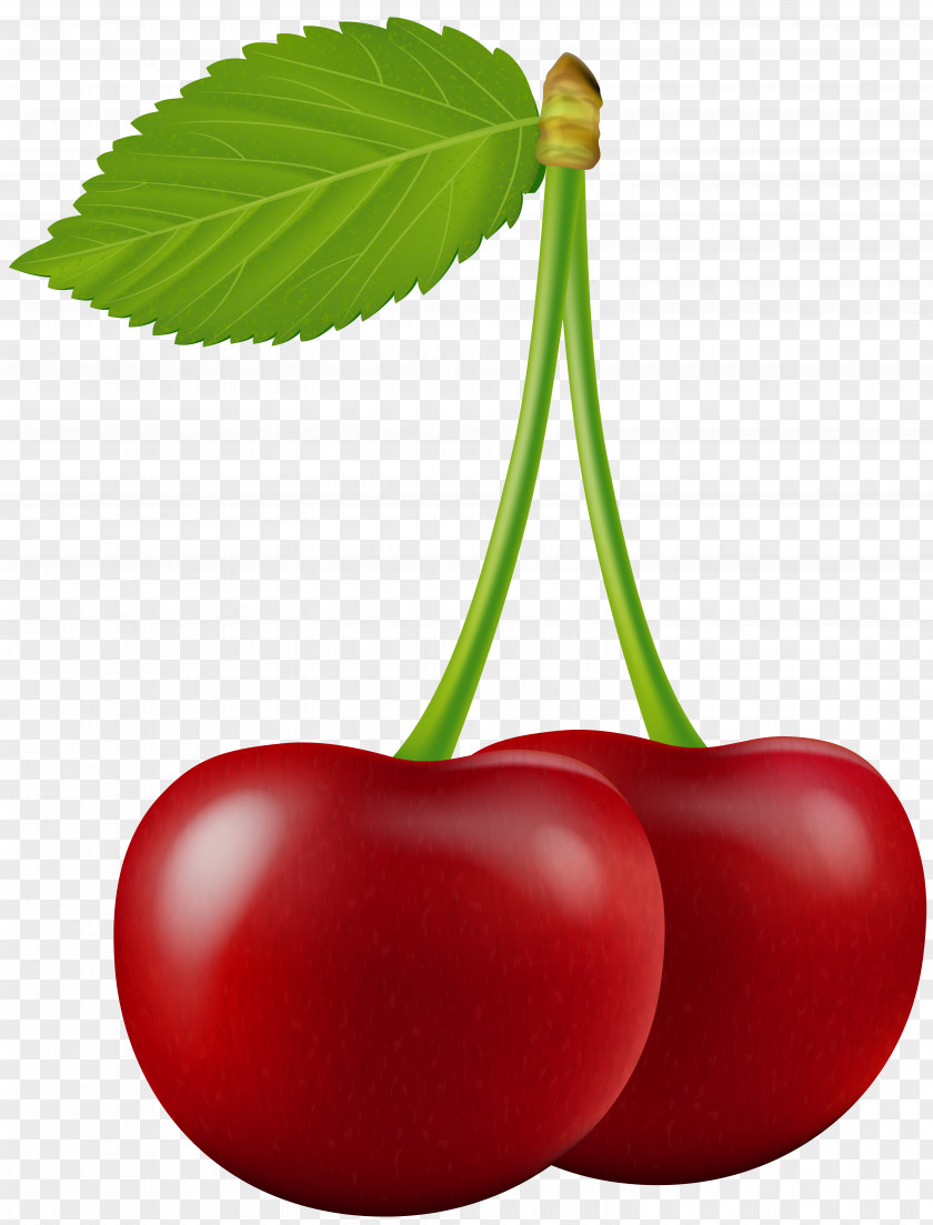 Cherry Fruit Clip Art PNG