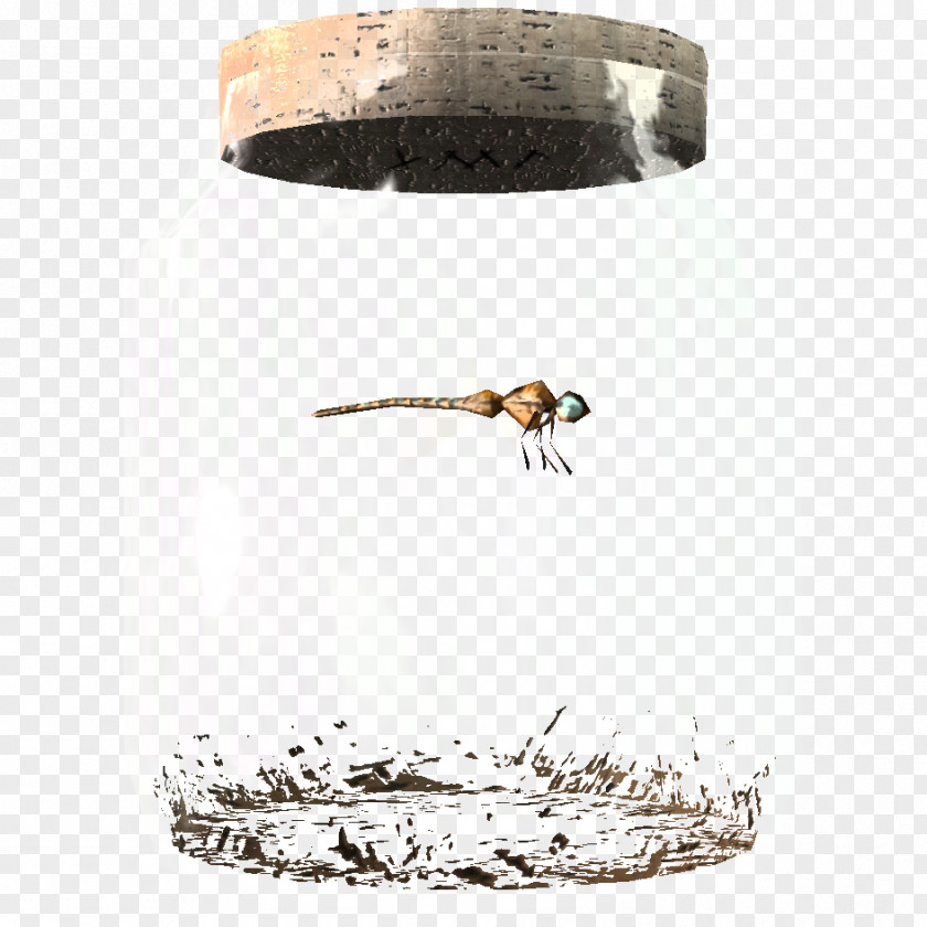 Dragon Fly Bee Butterfly The Elder Scrolls V: Skyrim Jar Insect PNG