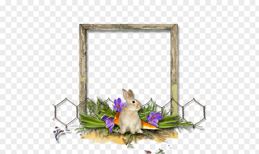 Easter Frame Picture Frames Photography Cadre D'entreprise PNG