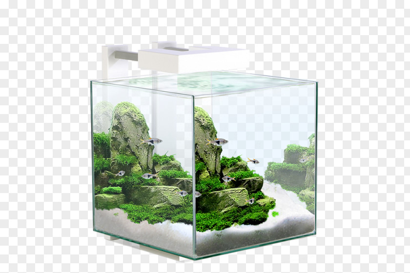 Fish Tank Light-emitting Diode Aquarium Filters LED Lamp PNG