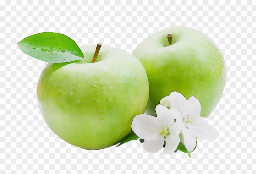 Flower Malus Granny Smith Apple Fruit Plant Food PNG