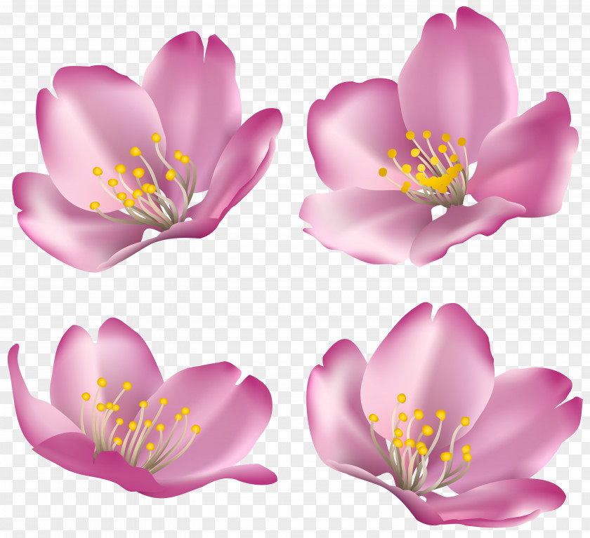 Flowers For Decoration Clip Art Image Smurfette Brainy Smurf Animation PNG