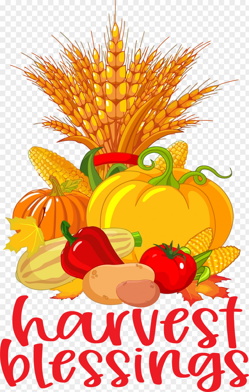 Harvest Blessings Thanksgiving Autumn PNG