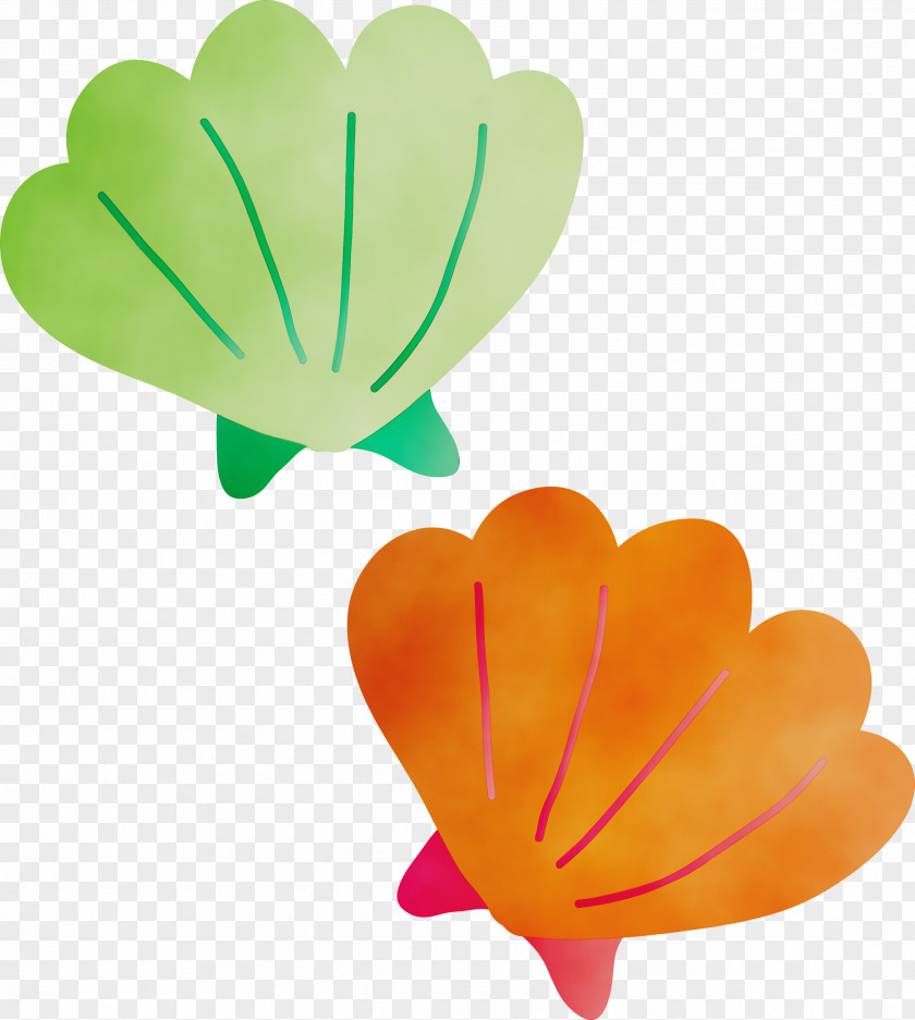 Leaf Petal Plant Symbol Herbaceous PNG
