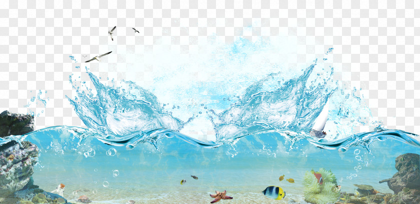 Seawater Travel Poster PNG