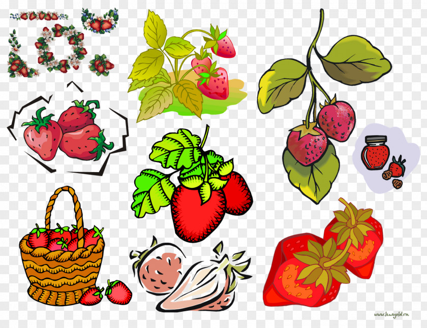 Strawberry Fruit Food Floral Design PNG