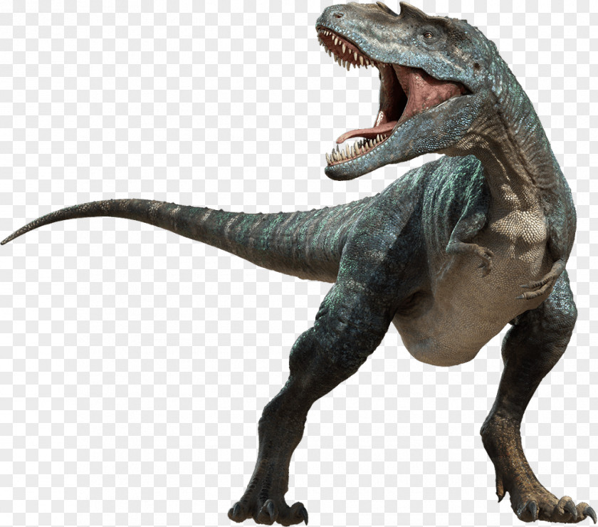Troodon Roar Velociraptor Background PNG