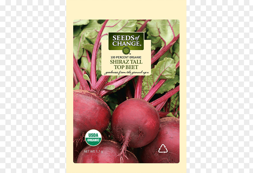 Vegetable Chard Organic Food Beetroot Radish PNG