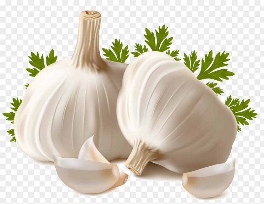 Garlic Bread Vegetable Clip Art PNG