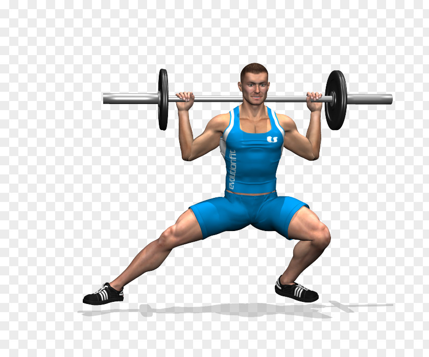 Gym Squats Weight Training Quadriceps Femoris Muscle Rectus Barbell PNG