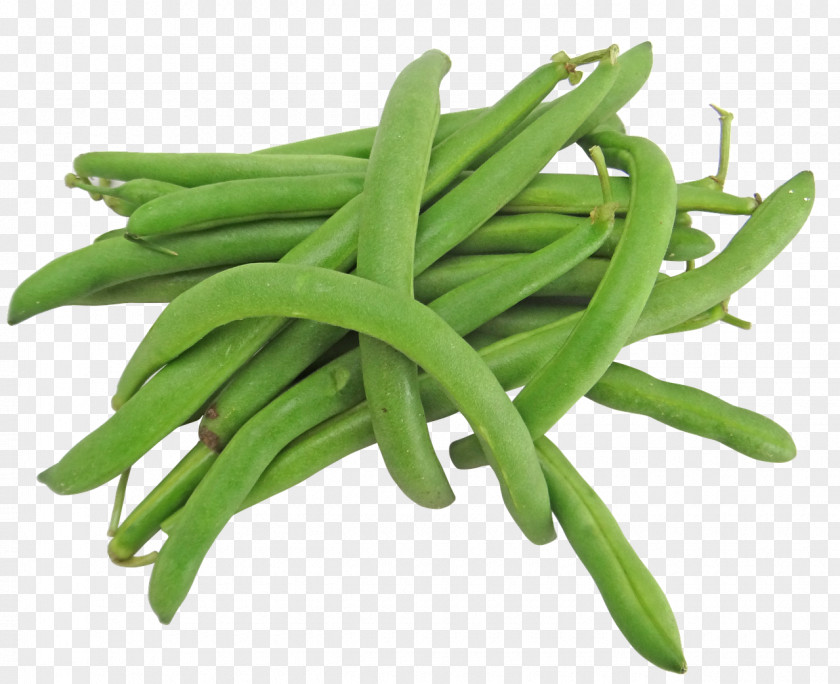 Black Beans Green Bean Vegetable Common Recipe PNG