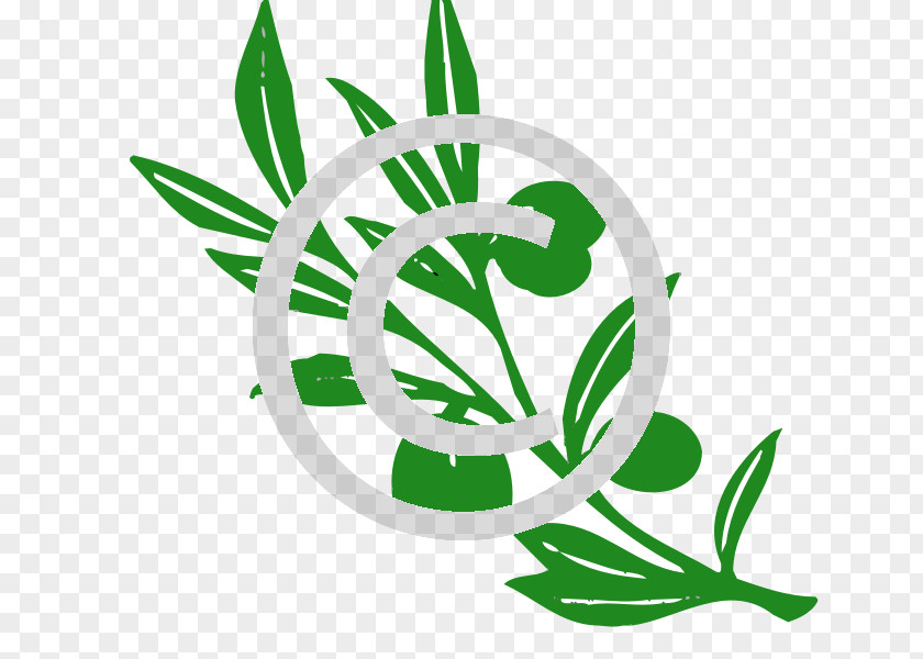 Olive Branch Clip Art PNG