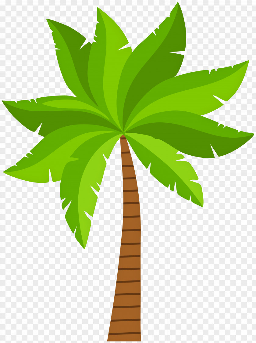 Palm Winter Clip Art Image Vector Graphics PNG