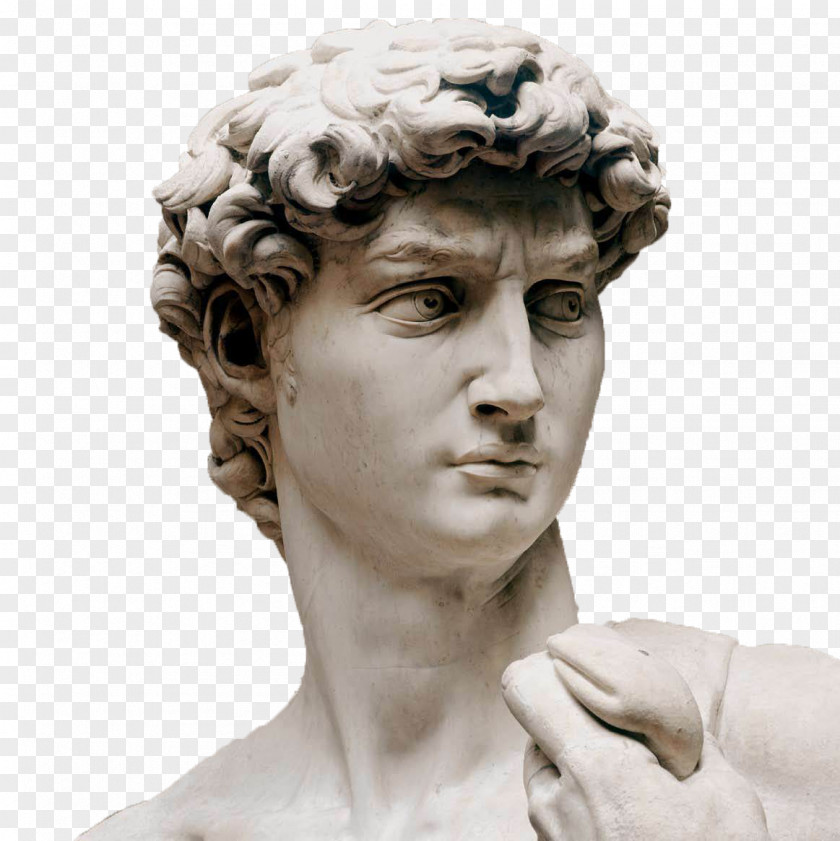 Roman Statue Head Michelangelo David Marble Sculpture Galleria Dell'Accademia PNG