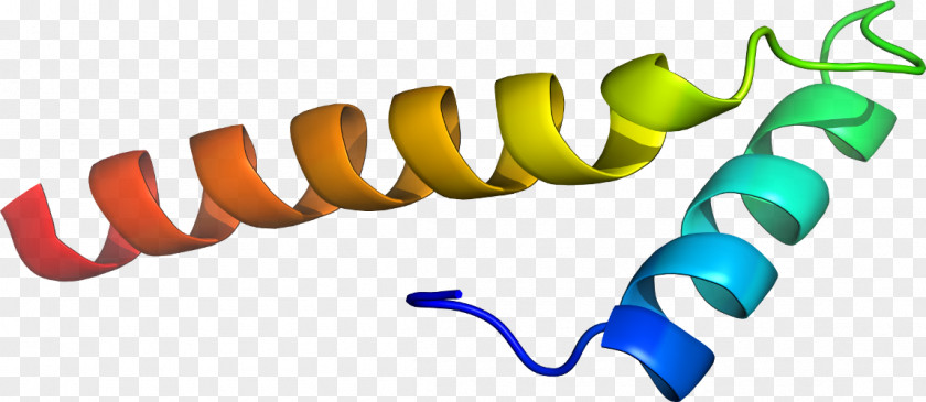 Design Bovine Serum Albumin Clip Art PNG