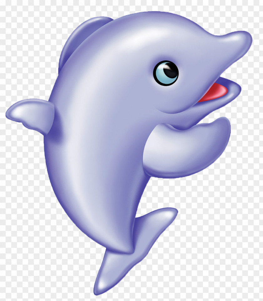 Dolphin,animal,lovely Dolphin Avatar Cuteness PNG