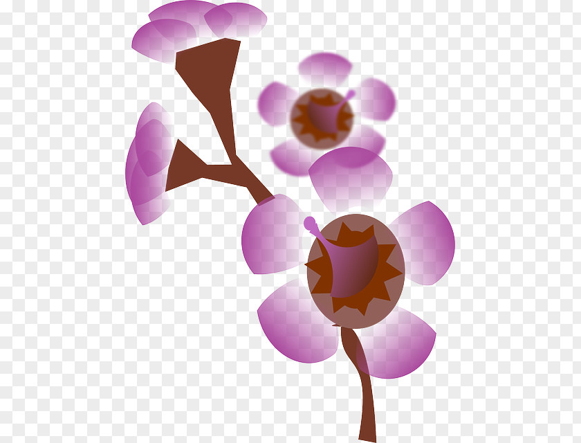 Flower Pink Petal Clip Art PNG