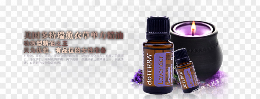 Lavender Essential Oil Lights PNG