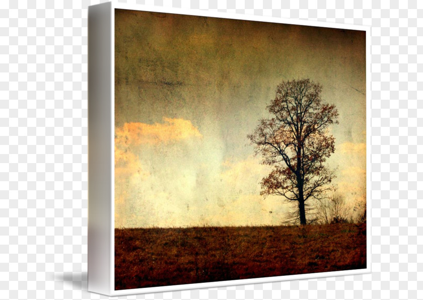 Painting Picture Frames Gallery Wrap Canvas Art PNG
