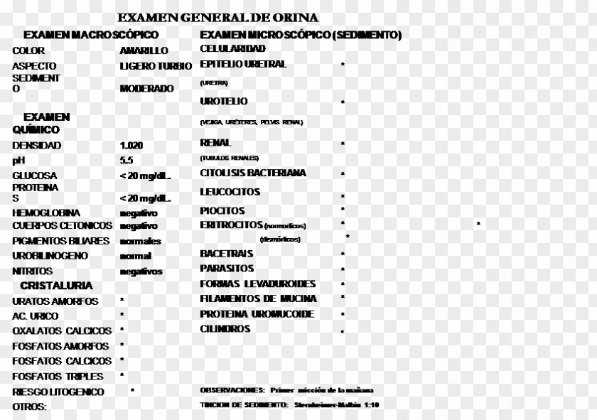 Tabla Clinical Urine Tests Elementos Formes Paper White Blood Cell PNG