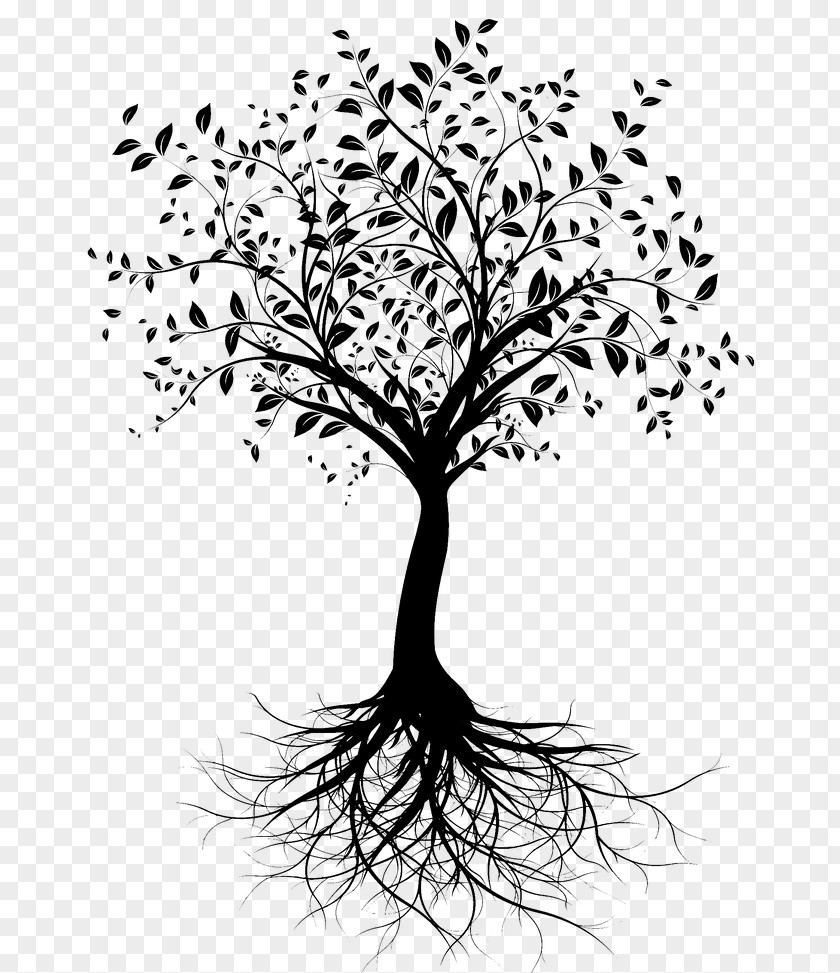 Tattoo Image Lynn Rendez Vous Sante Tree Root PNG