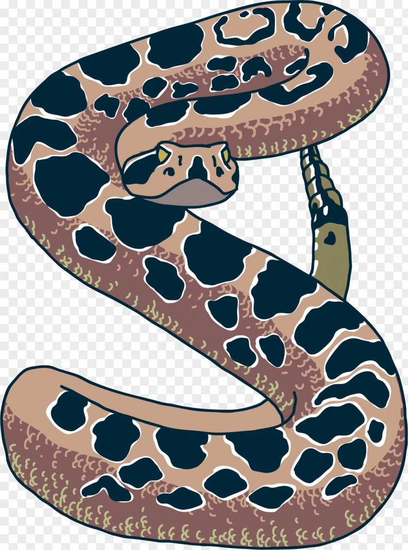 Vector Painted Snake Euclidean PNG