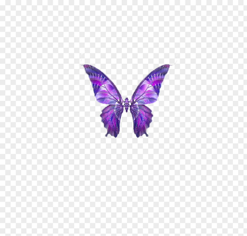 Butterfly,insect,specimen Butterfly Papillon Dog Hemiargus Ceraunus Clip Art PNG