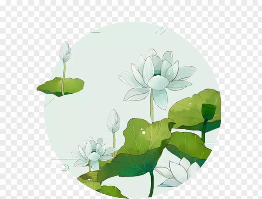 Hand-painted Lotus Poster Ink Wash Painting Illustration PNG