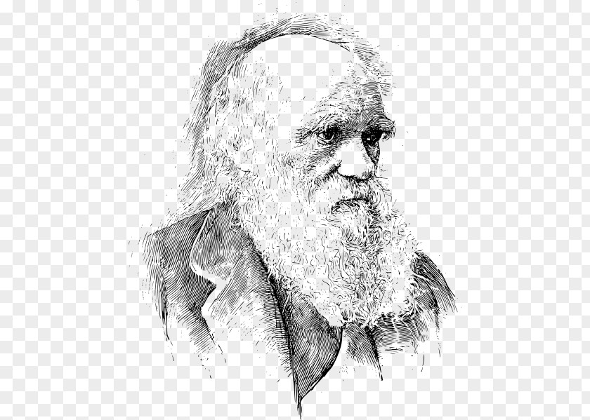 Scientist On The Origin Of Species Voyage Beagle Evolution Darwin Day PNG