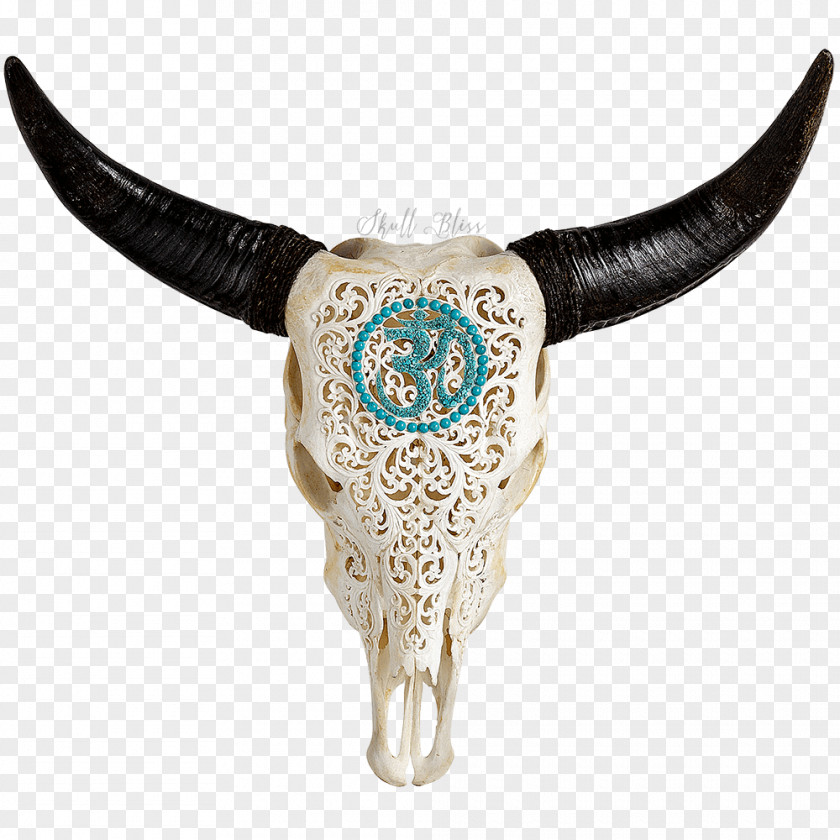 Skull XL Horns Cattle Animal PNG