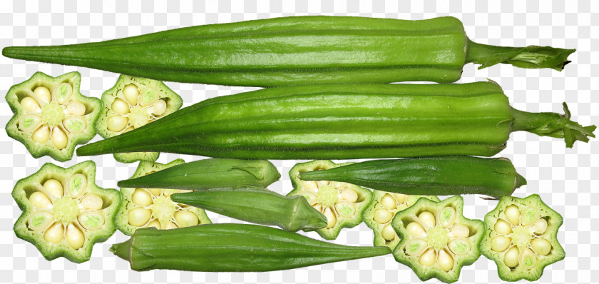 Vegetable Okra Gumbo African Cuisine Bitter Melon PNG