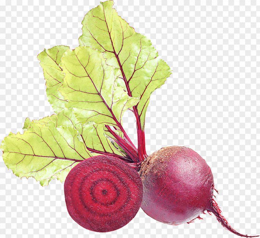 Beetroot Juice Turnip Leaf Vegetable PNG