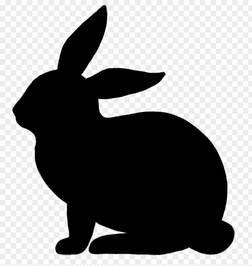Easter Bunny Rabbit Illustration Vector Graphics Image PNG