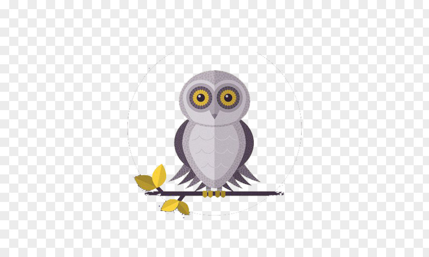 Grey Owl Flat Design Barn Bird Drawing PNG