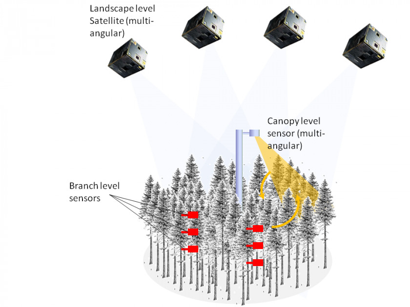 Photosynthetic Efficiency Remote Sensing Sensor Photosynthesis Atmosphere Carbon Dioxide PNG