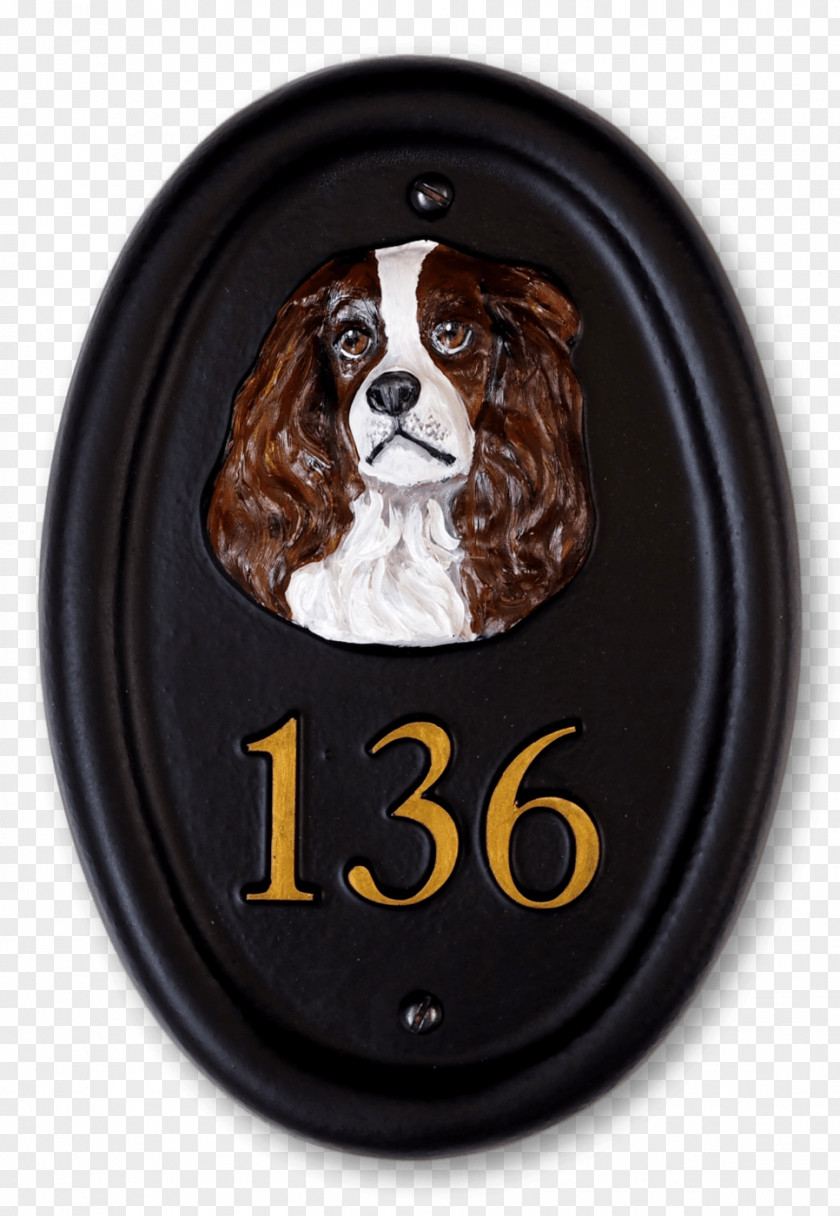 Spaniel PNG