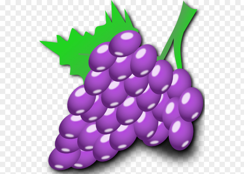 Cartoon Grapes Common Grape Vine Clip Art PNG