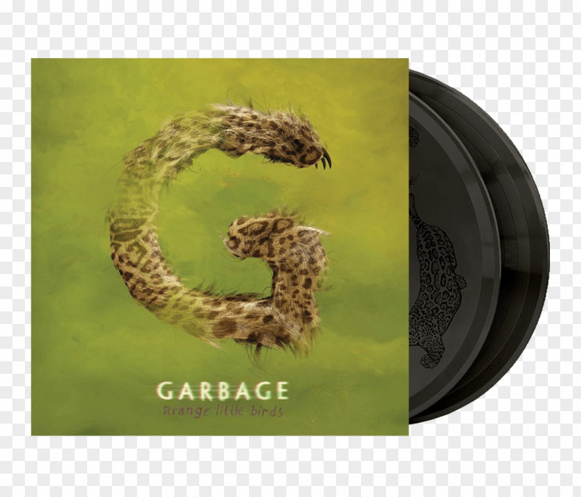 Little Birds Garbage Strange Album Night Drive Loneliness If I Lost You PNG