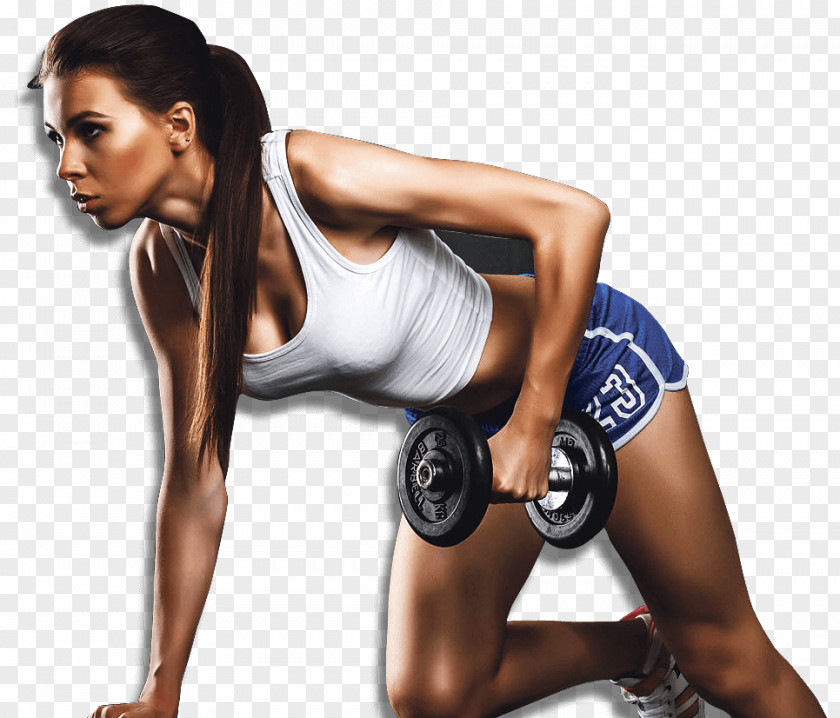 Muscle Fitness Centre Physical Exercise Personal Trainer PNG