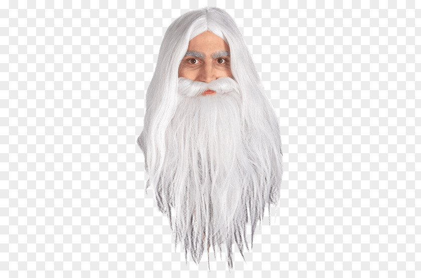 Beard Gandalf The Lord Of Rings: Fellowship Ring Wig Costume PNG