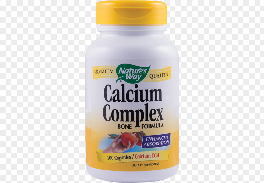 Calcium Bone Dietary Supplement Multivitamin Nature Capsule PNG