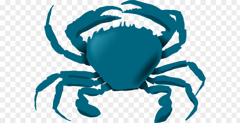 Crab Cliparts Chesapeake Blue Clip Art PNG