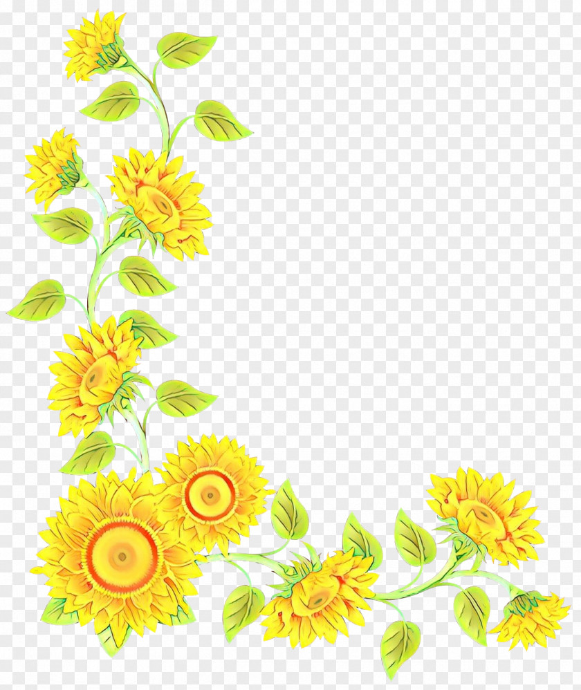 Floral Design Chamomile Sunflower Clip Art PNG