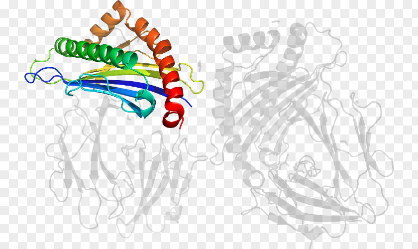 Line Organism Clip Art PNG