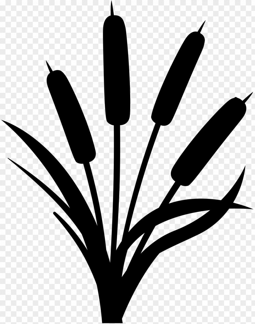 M Leaf Clip Art Branch Plant Stem Black & White PNG